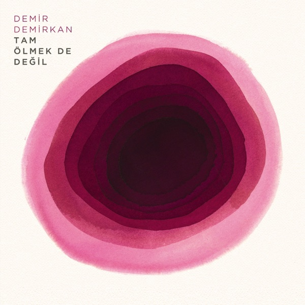 Tam Ölmek De Değil album cover