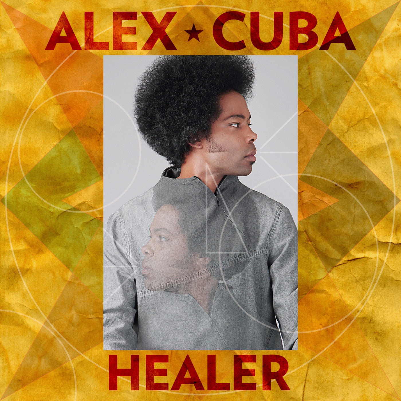 Healer album cover