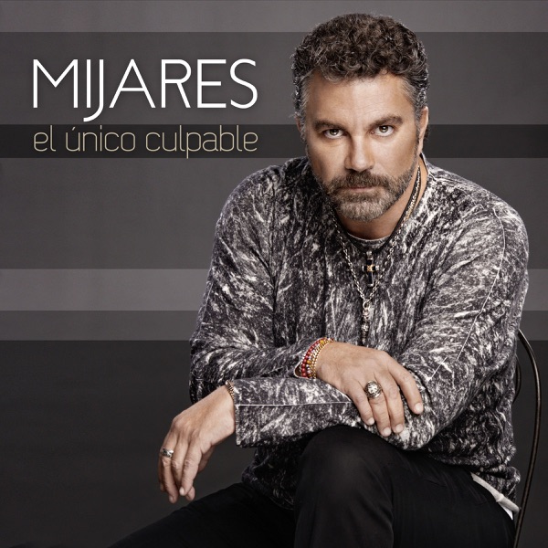 El único culpable (Radio) - Single album cover