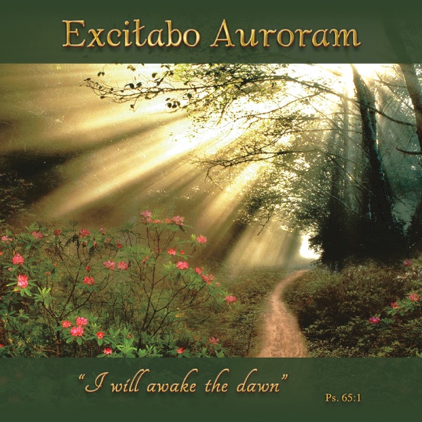 Excitabo Auroram album cover