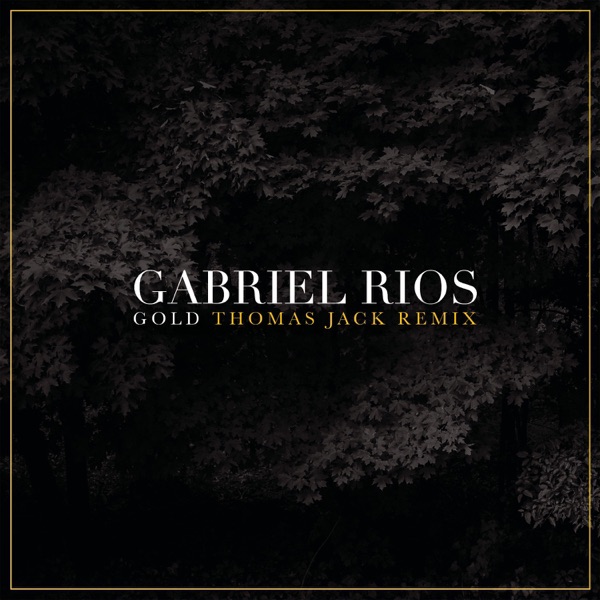 Gold (Thomas Jack Radio Edit) - Single album cover
