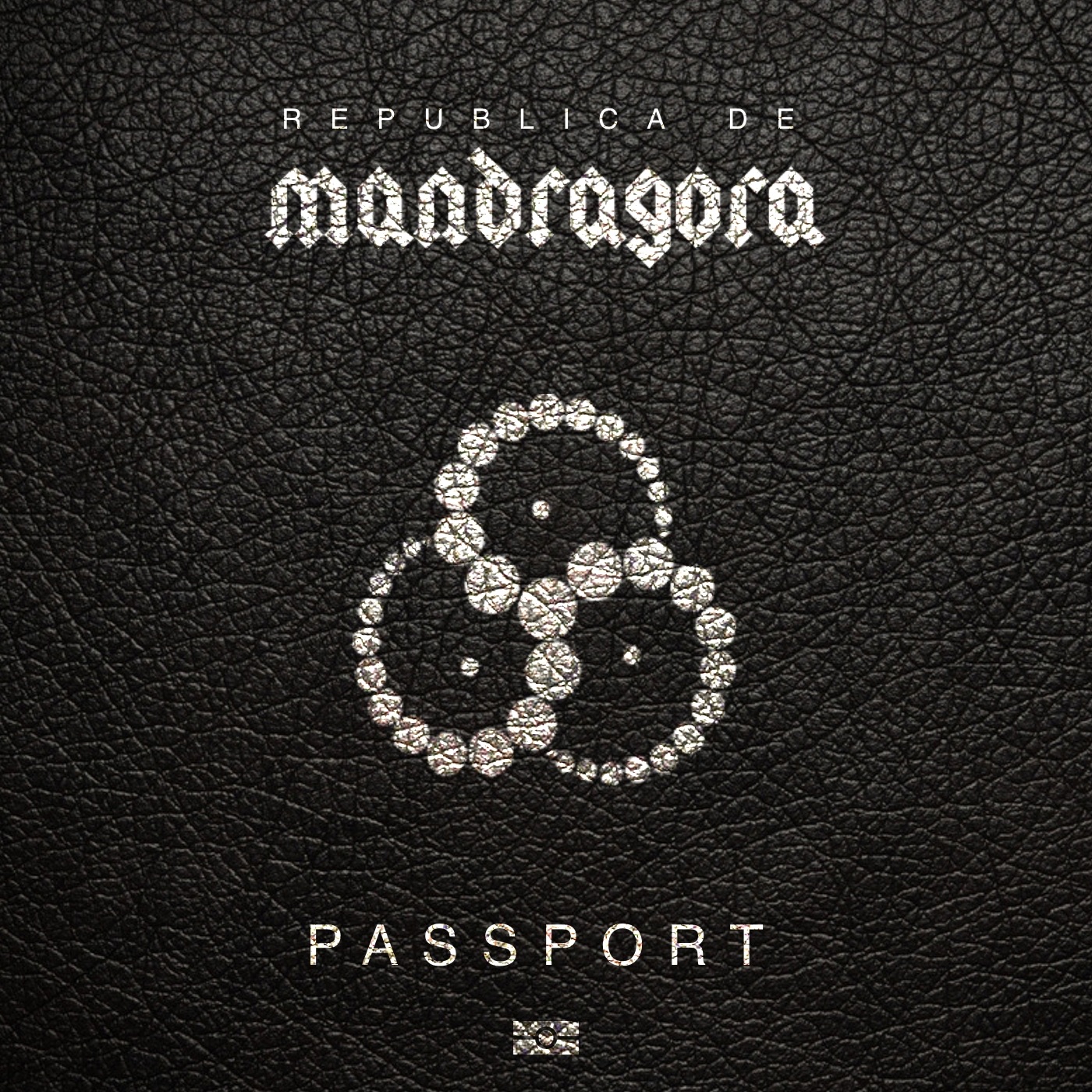 Passport - Single album cover