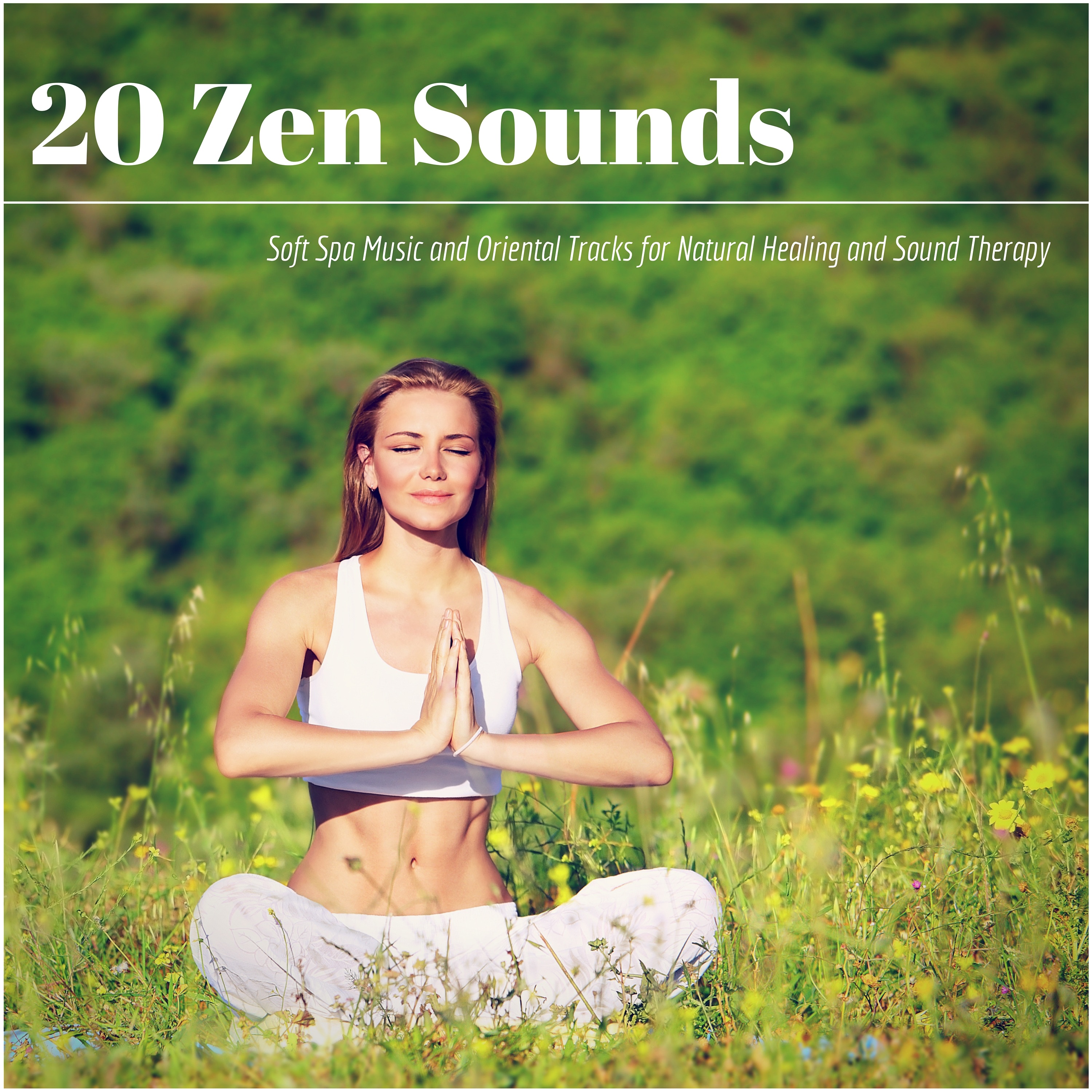 20 Zen Sounds - Soft Spa Music and Oriental Tracks for Natural Healing and Sound Therapy album cover
