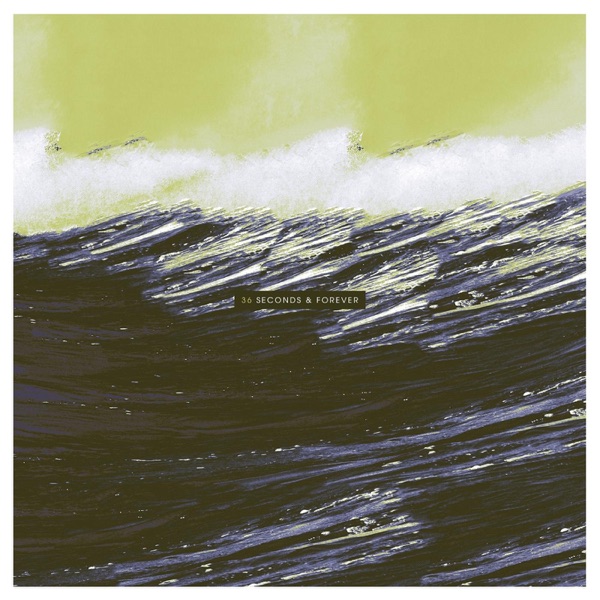 Seconds & Forever album cover