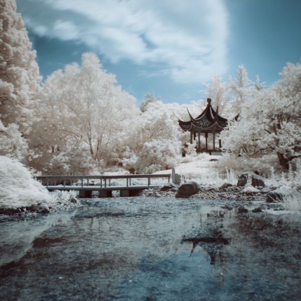 Garden of Ghosts album cover