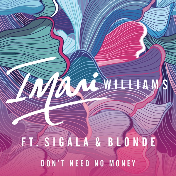 Don't Need No Money (feat. Sigala & Blonde) - Single album cover