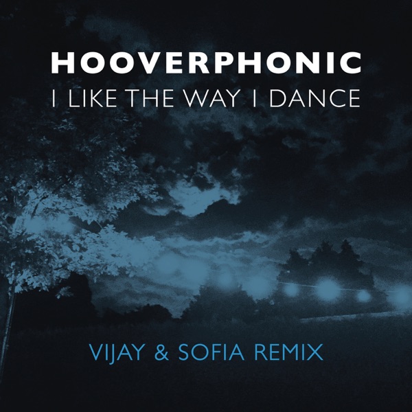 I Like the Way I Dance (Vijay & Sofia Remix) - Single album cover