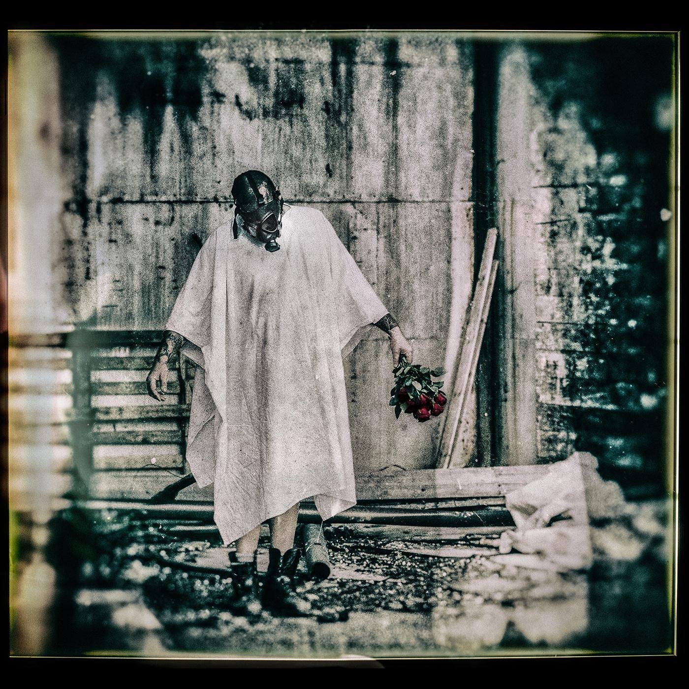 White Bird - Single album cover