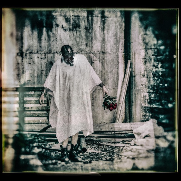 White Bird - Single album cover