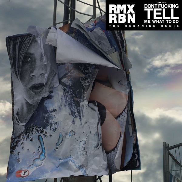 Don't F*****g Tell Me What to Do (The Mekanism Remix) - Single album cover