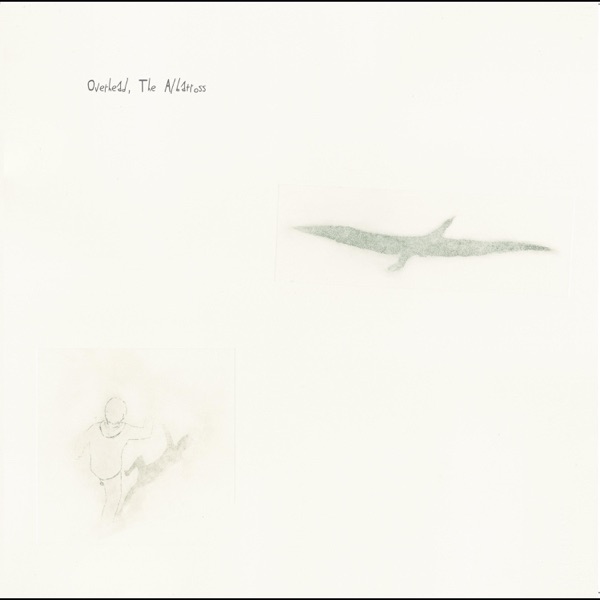 Learning To Growl album cover