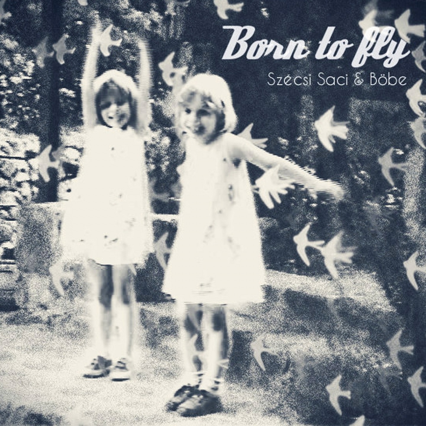 Born to Fly - Single album cover