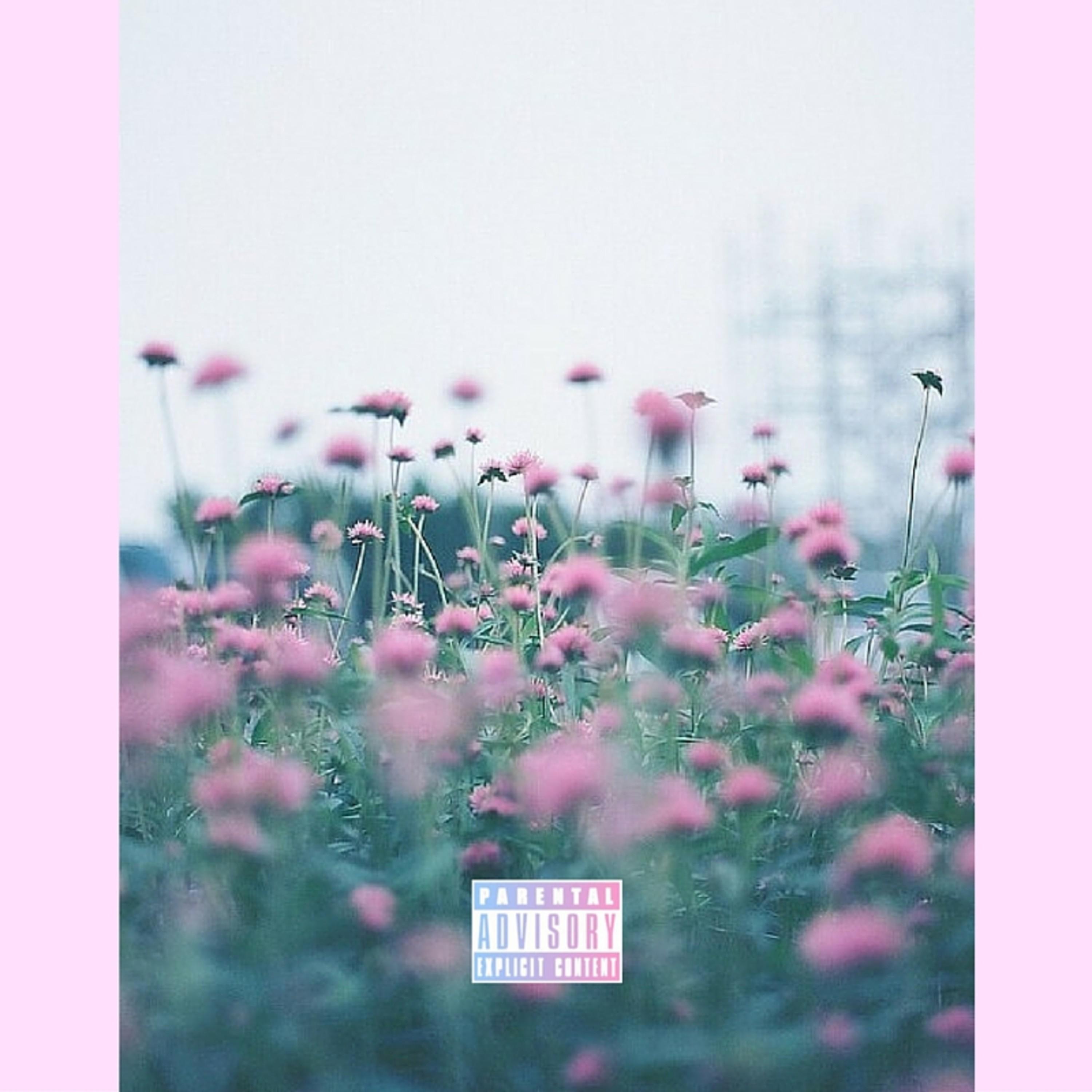 Love Is Still Awesome - Single album cover