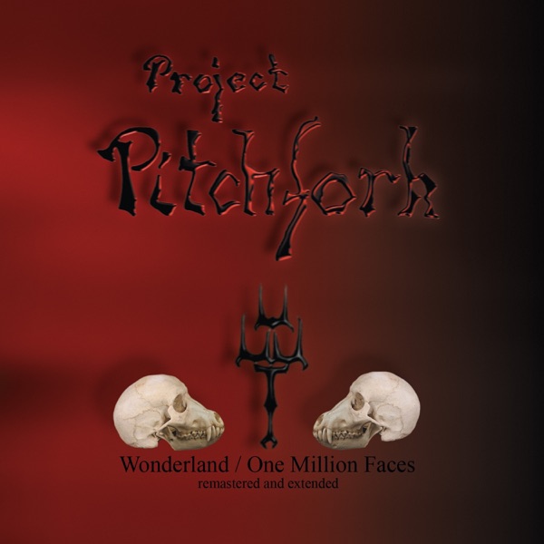 Wonderland / One Million Faces (Remastered) album cover