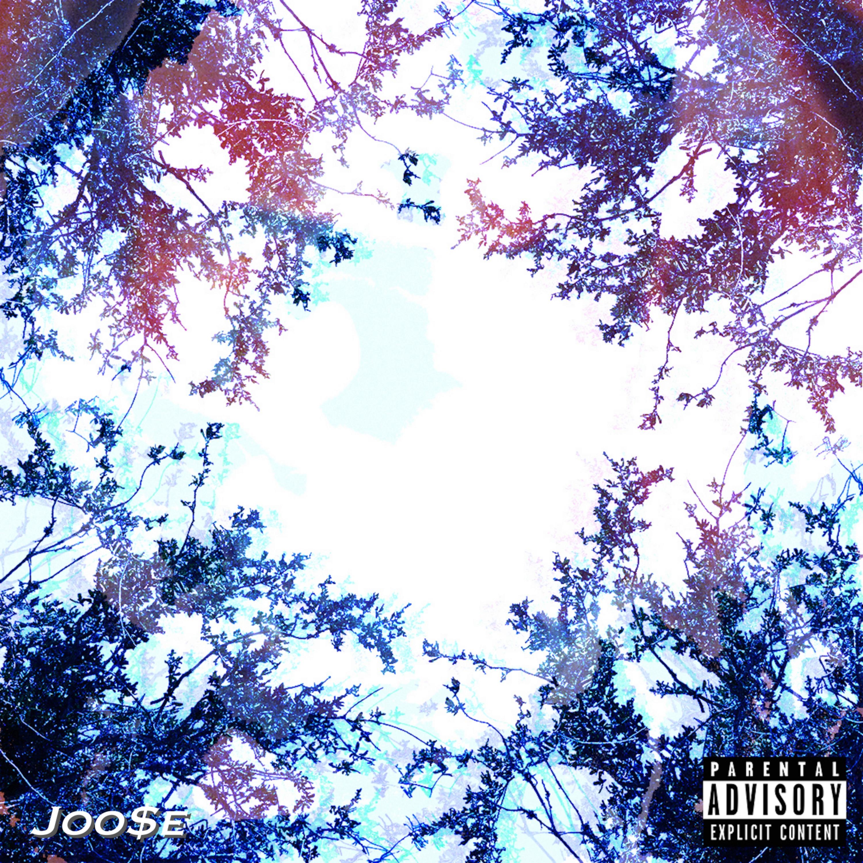 Joose album cover
