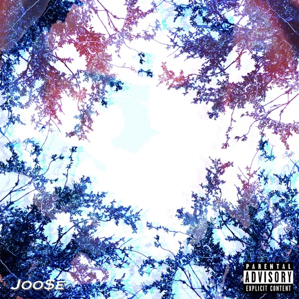 Joose album cover