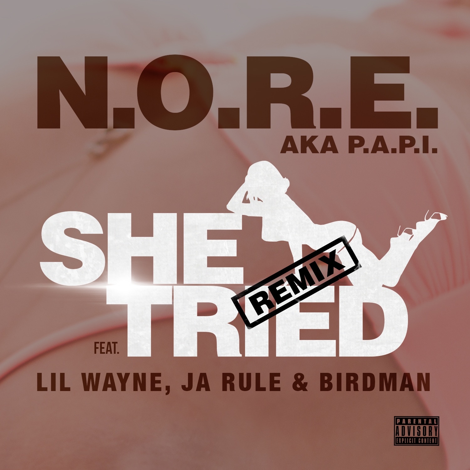 She Tried (Remix) [feat. Lil Wayne, Ja Rule & Birdman] - Single album cover