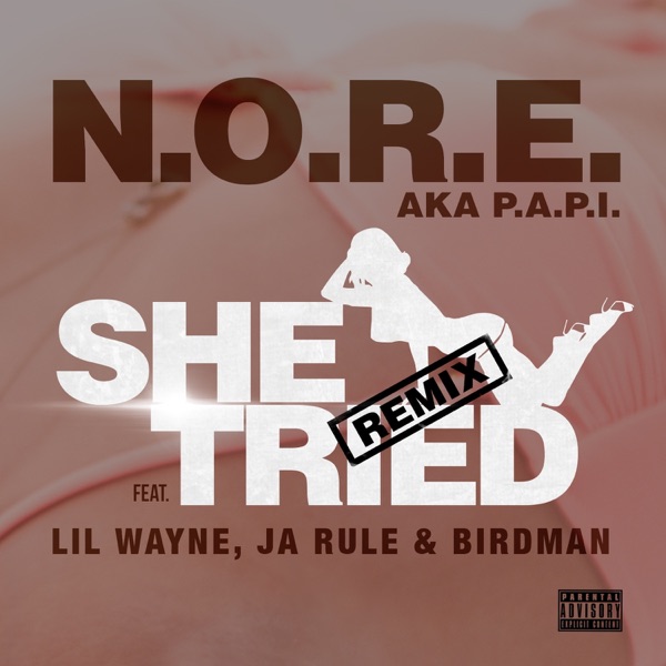 She Tried (Remix) [feat. Lil Wayne, Ja Rule & Birdman] - Single album cover