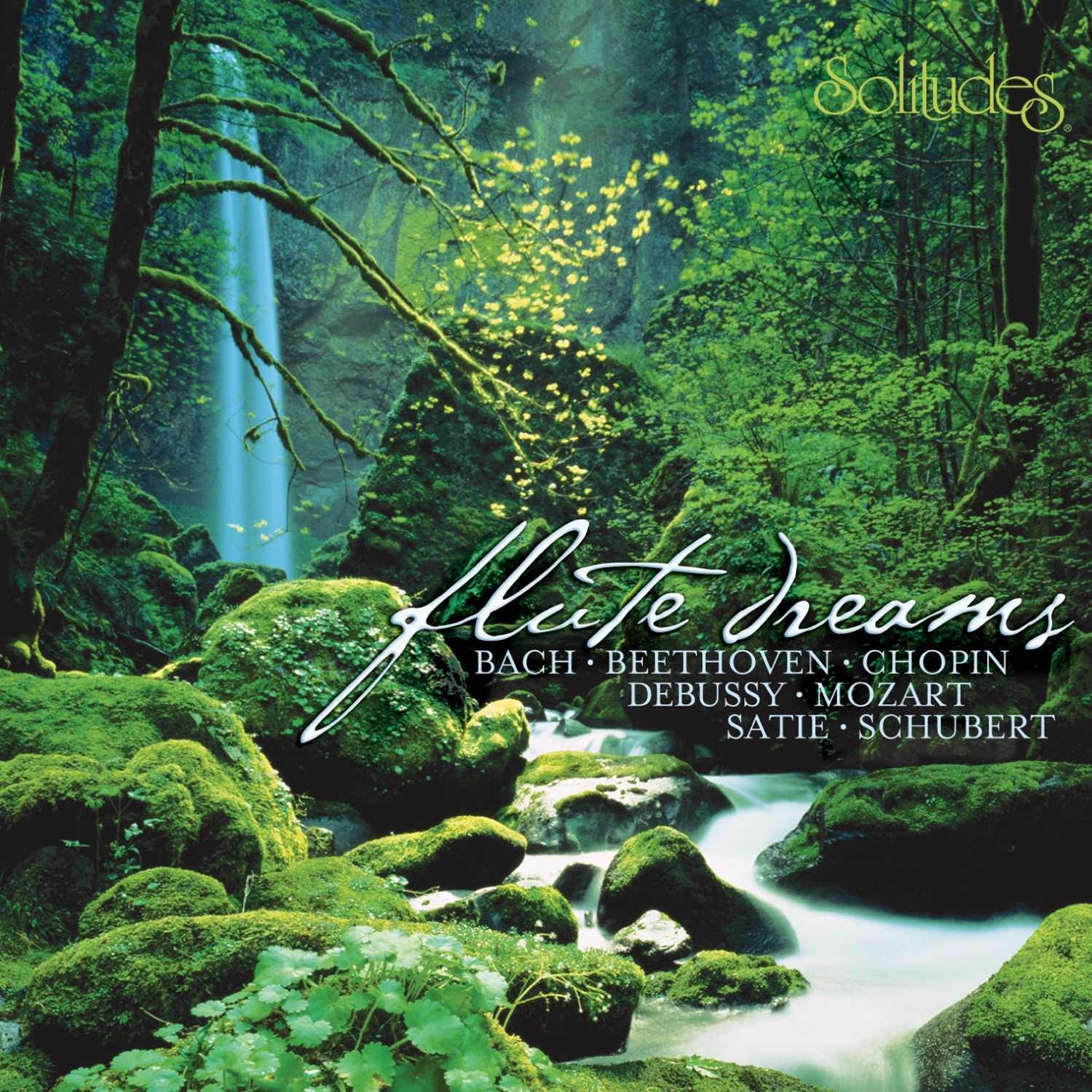 Flute Dreams album cover