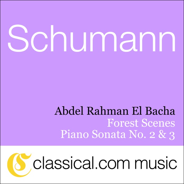 Robert Schumann, Piano Sonata No. 2 In G Minor, Op. 22 album cover