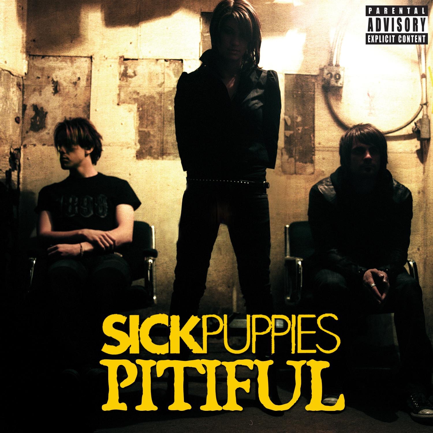 Pitiful (Radio Edit) - Single album cover