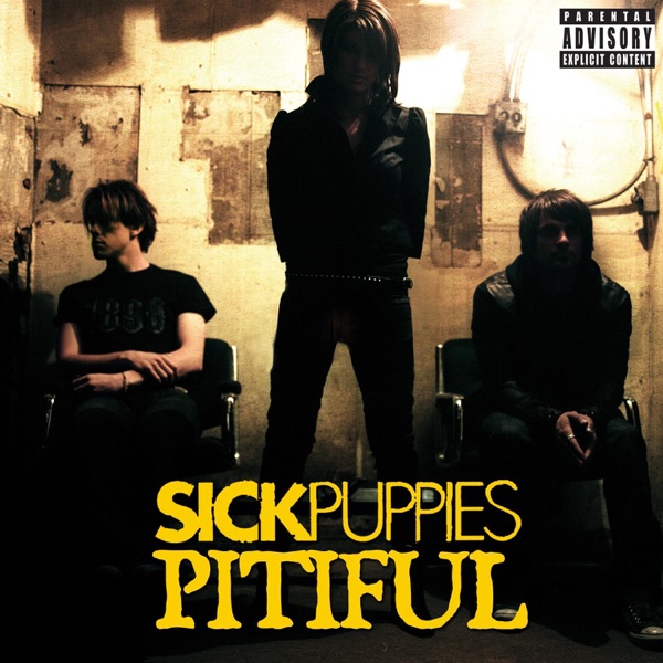 Pitiful (Radio Edit) - Single album cover