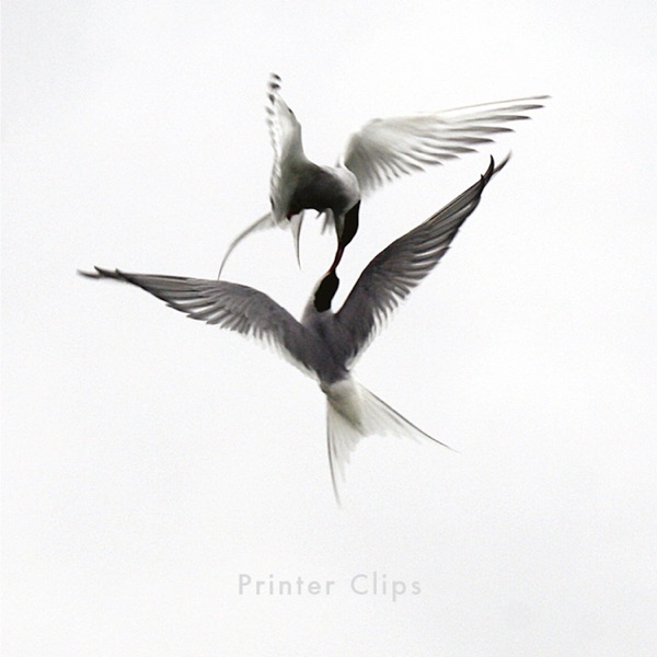 Printer Clips (feat. Paul Noonan, Lisa Hannigan, Martha Wainwright, Joan As Policewoman, Gemma Hayes album cover