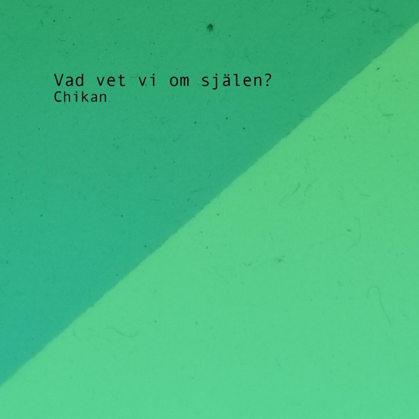 Vad vet vi om själen? - Single album cover