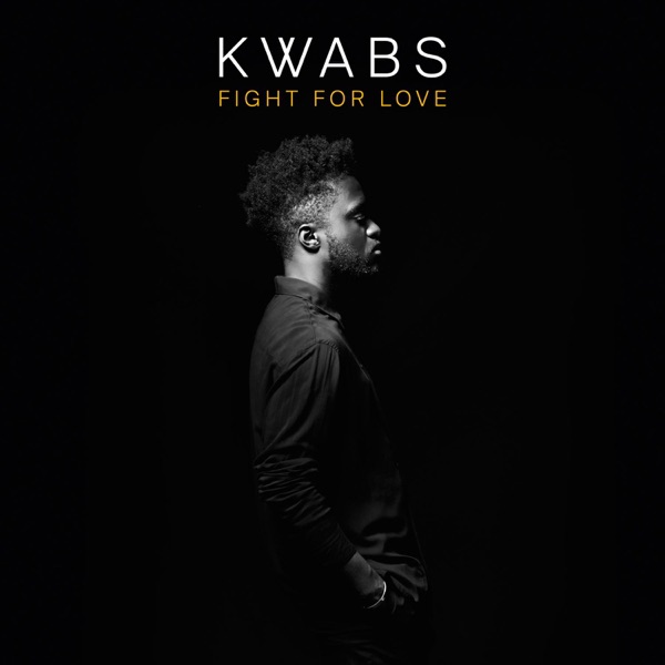 Fight For Love (Sam Gellaitry Remix) - Single album cover