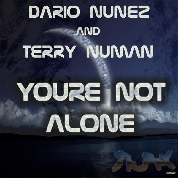You're Not Alone - Single album cover