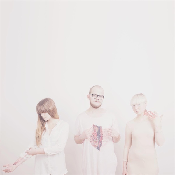 While I'm Carrying Your Skin - Single album cover