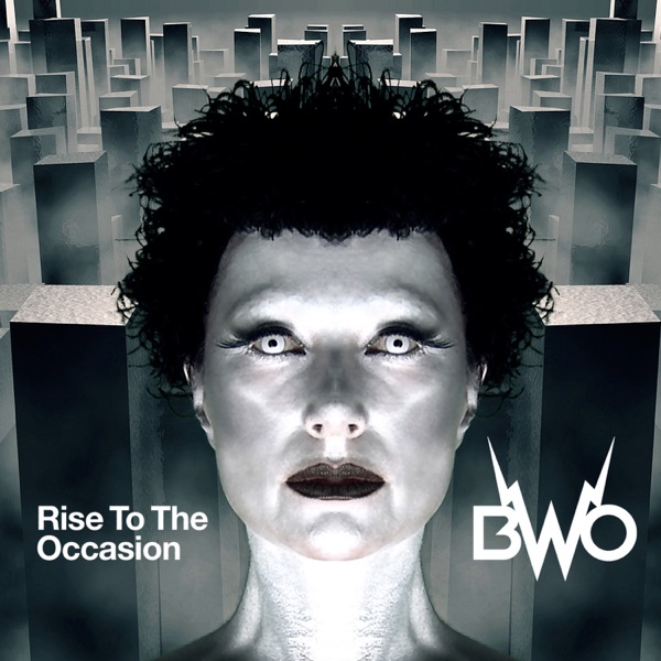Rise to the Occasion album cover