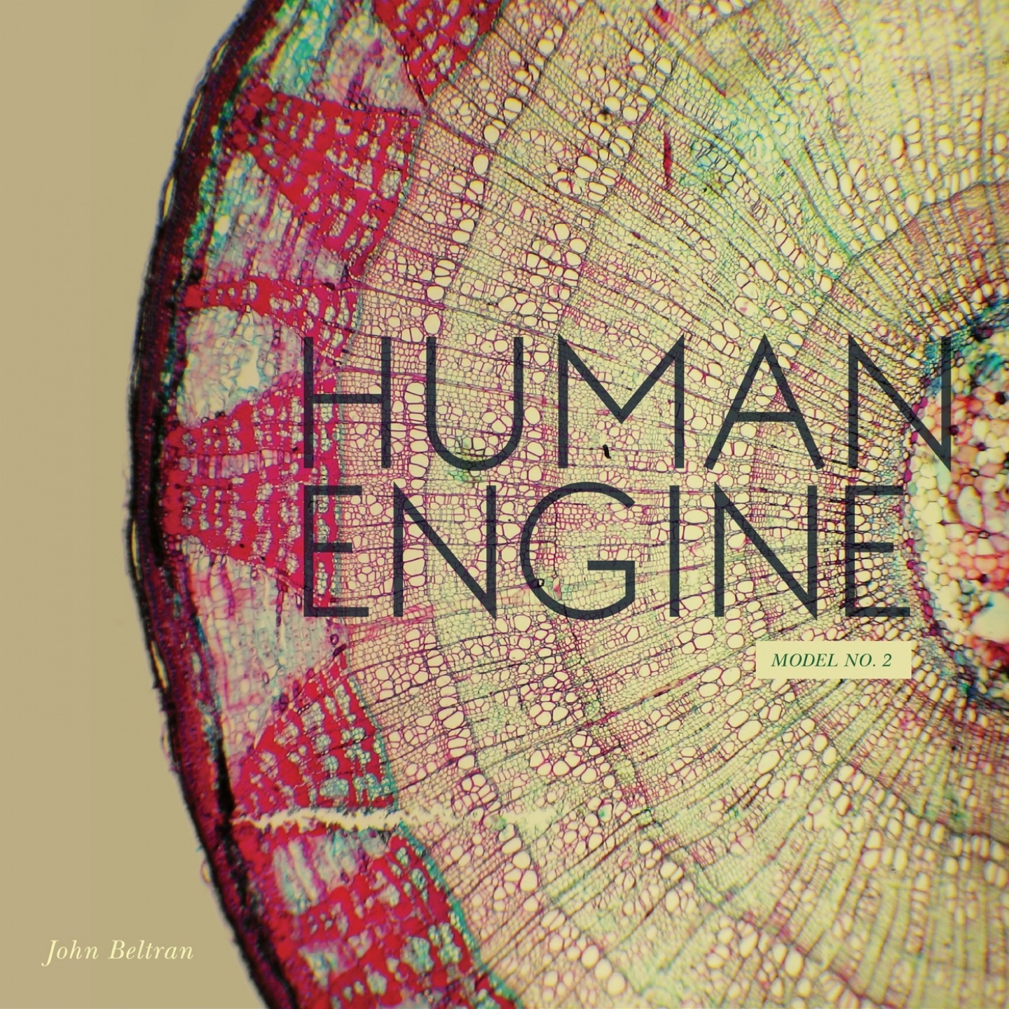 Human Engine (Model No. 2) album cover