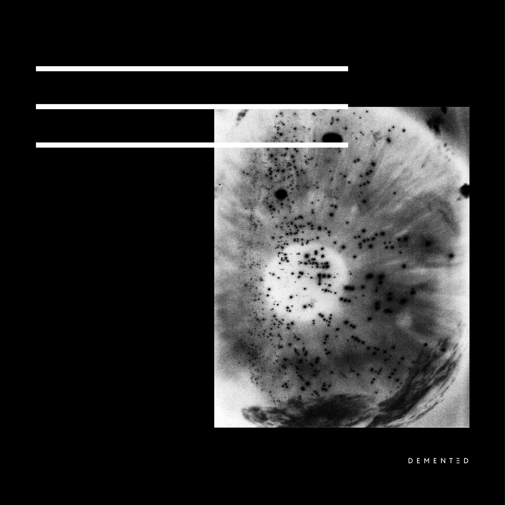 Suspended in a Stasis Field - EP album cover