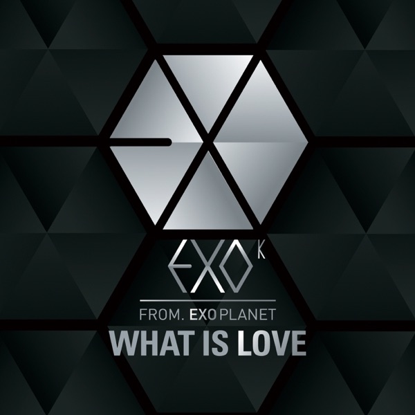 What Is Love (Korean Version) - Single album cover