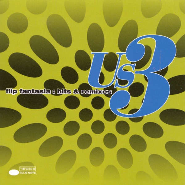 Flip Fantasia - Hits & Remixes album cover