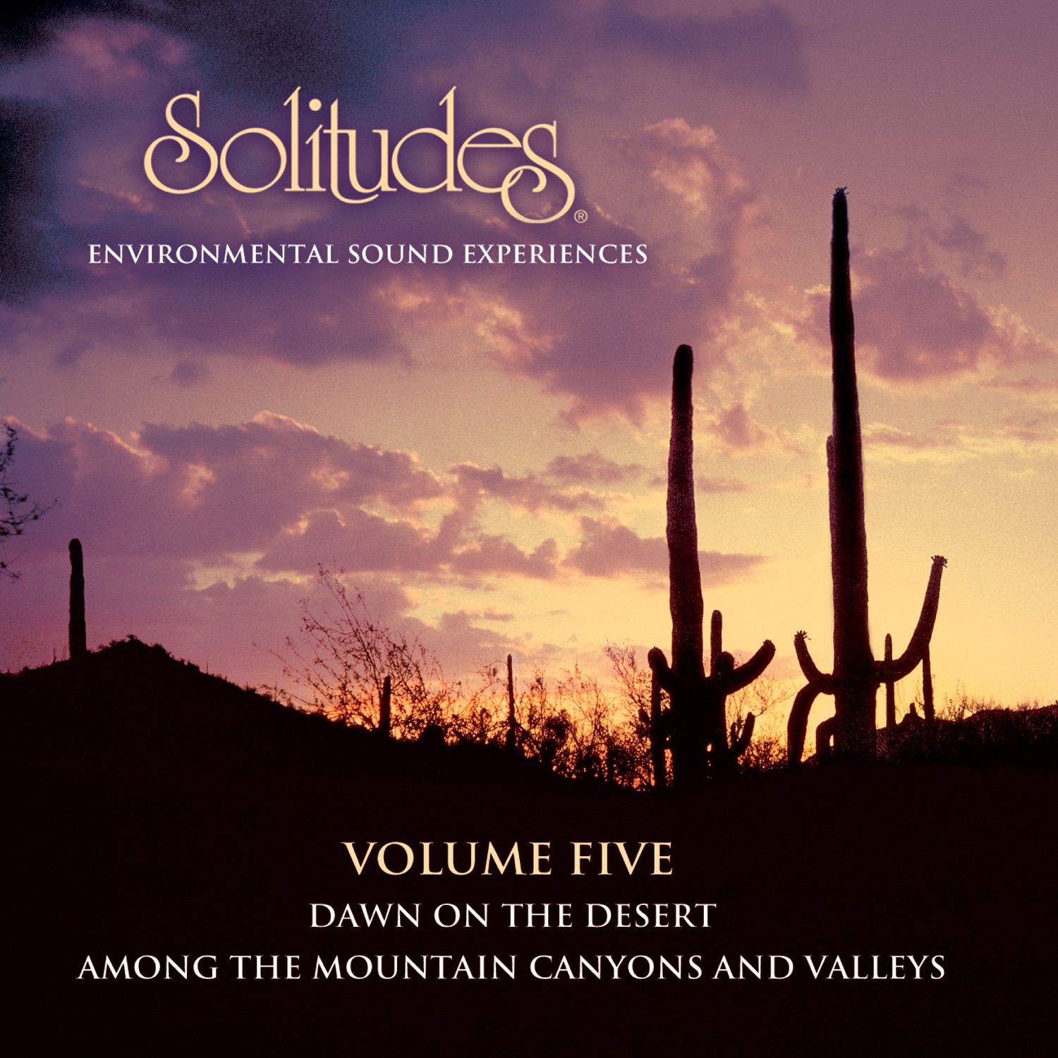 Solitudes, Vol. 5 album cover