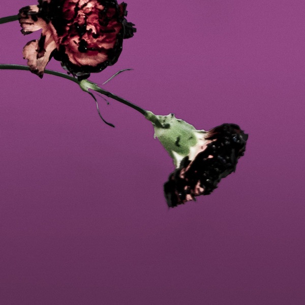 You & I (Nobody In the World) [R3hab Remix - Radio Edit] - Single album cover