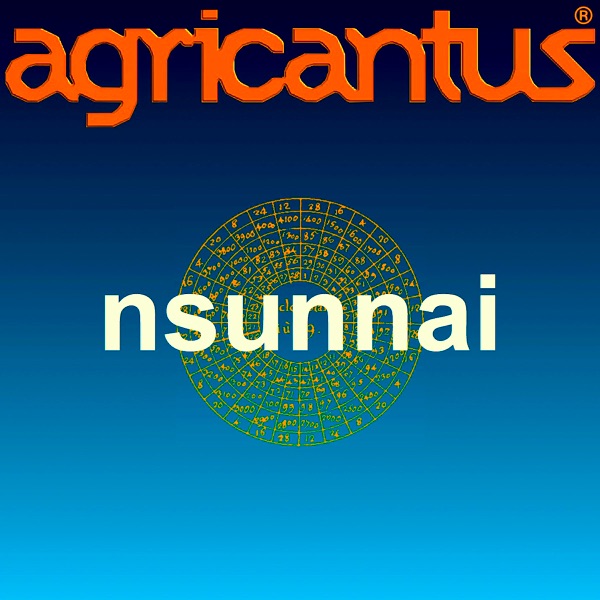 Nsunnai - Single album cover
