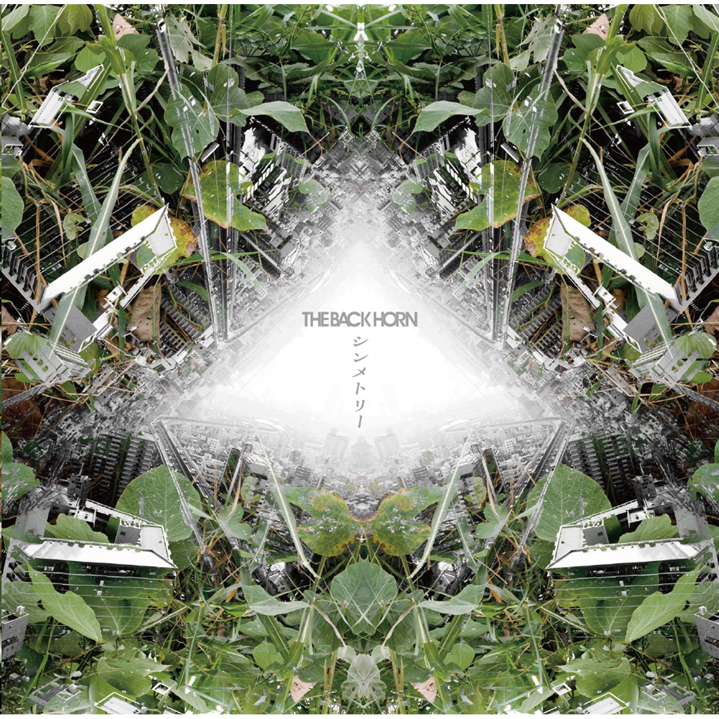 Symmetry/Kowaremono - Single album cover