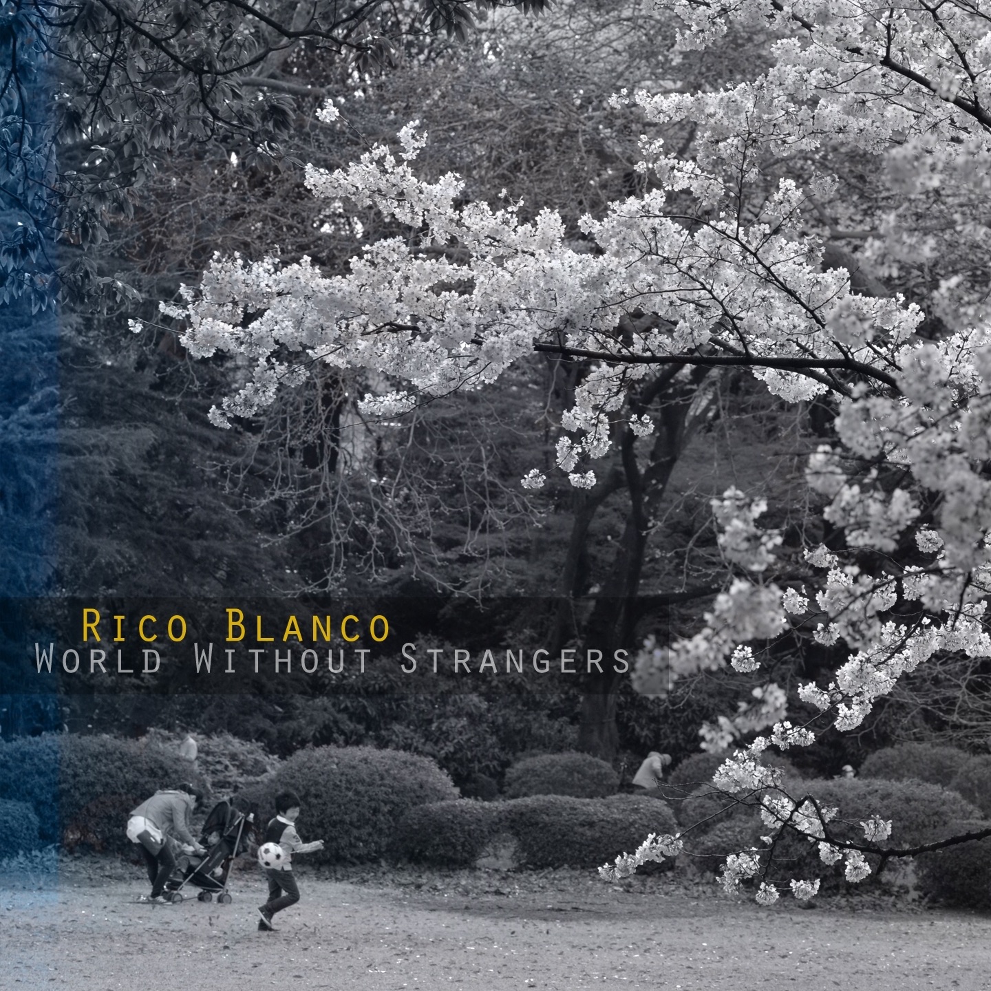 World Without Strangers - Single album cover