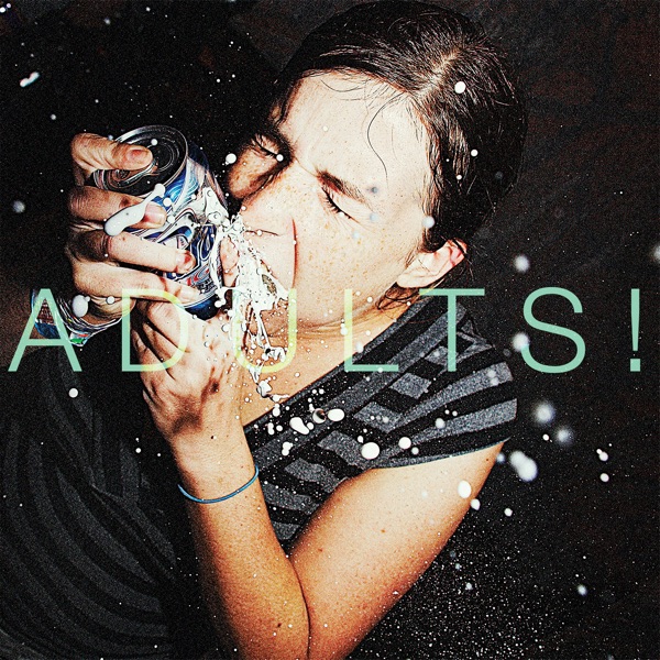 Adults!!!... Smart!!! Shithammered!!! And Excited by Nothing!!!!!!! album cover