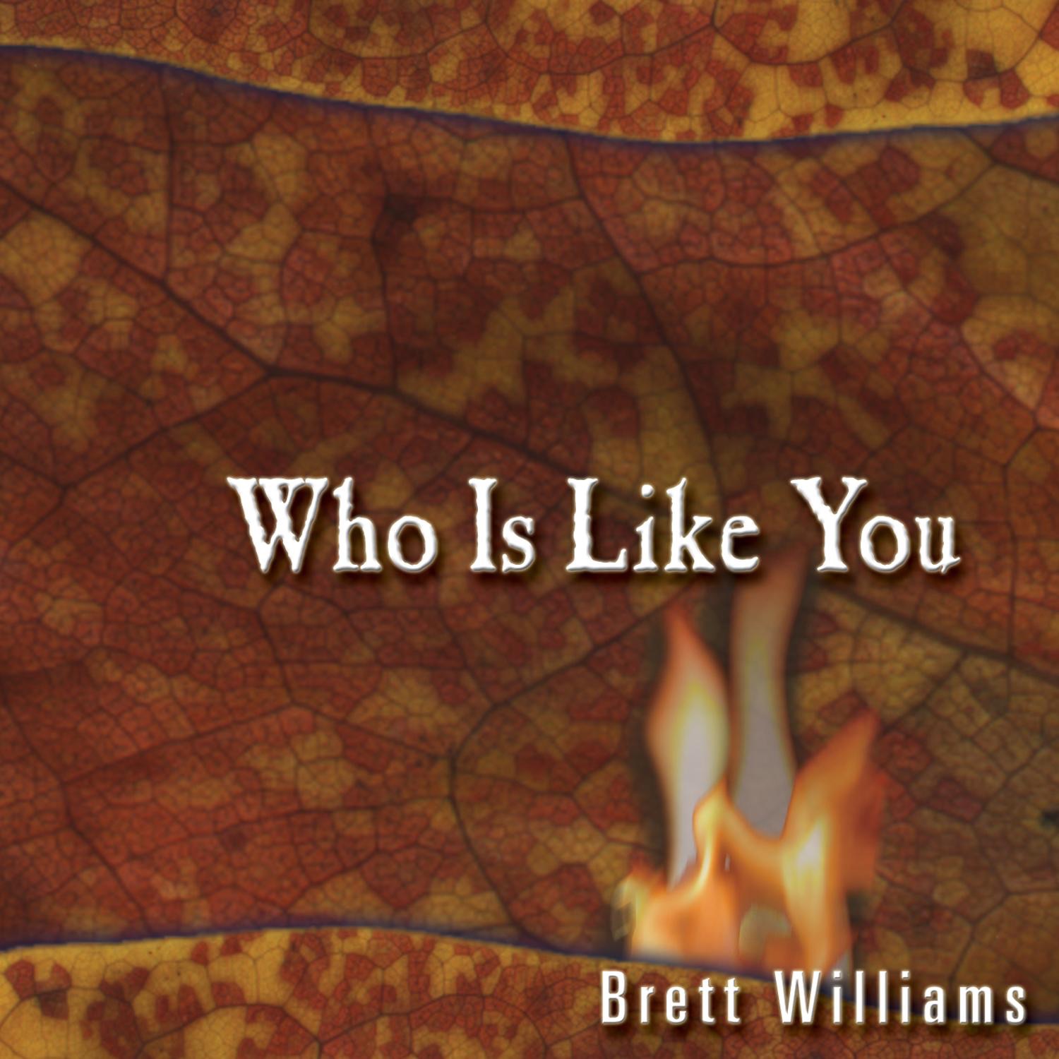 Who Is Like You? album cover