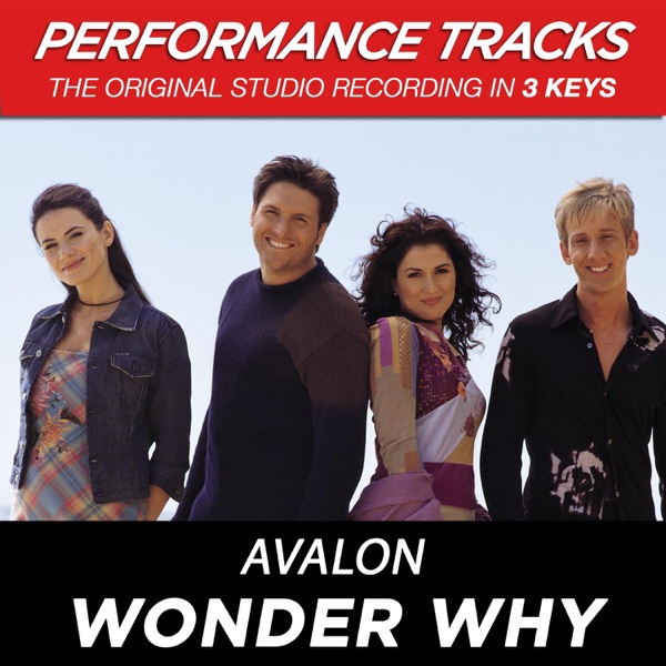 Wonder Why (Performance Tracks) - EP album cover