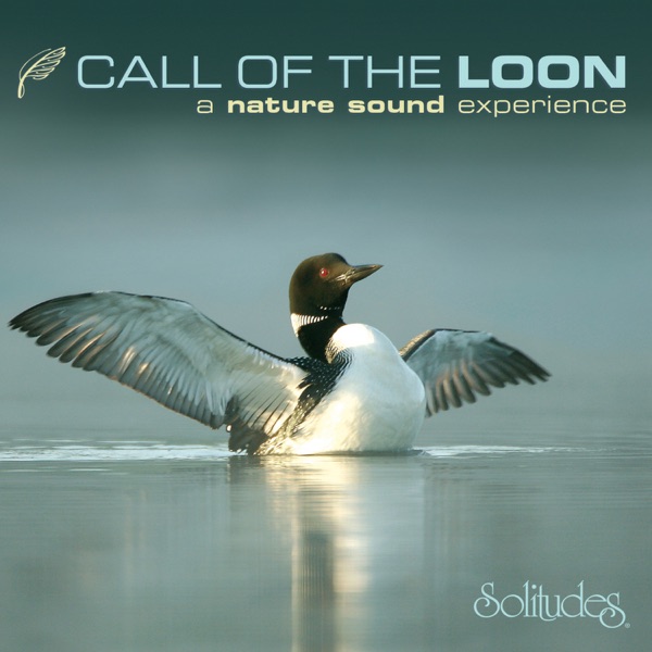 Call of the Loon album cover