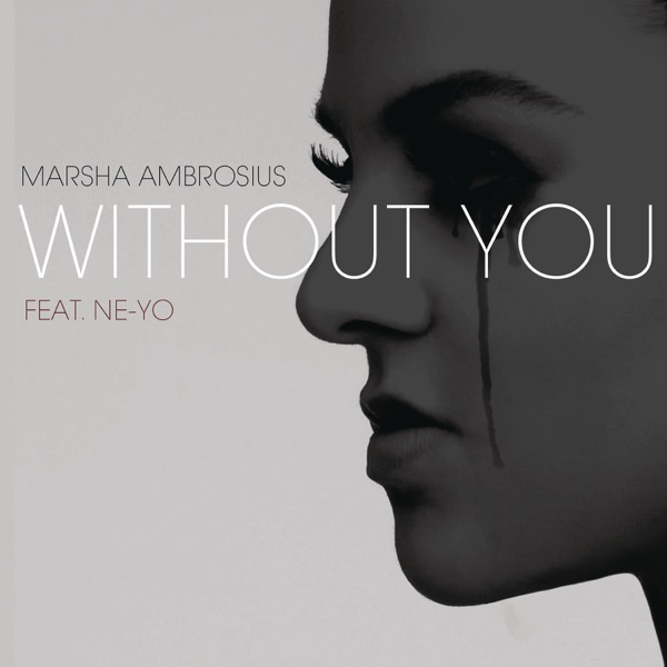 Without You (feat. Ne-Yo) - Single album cover