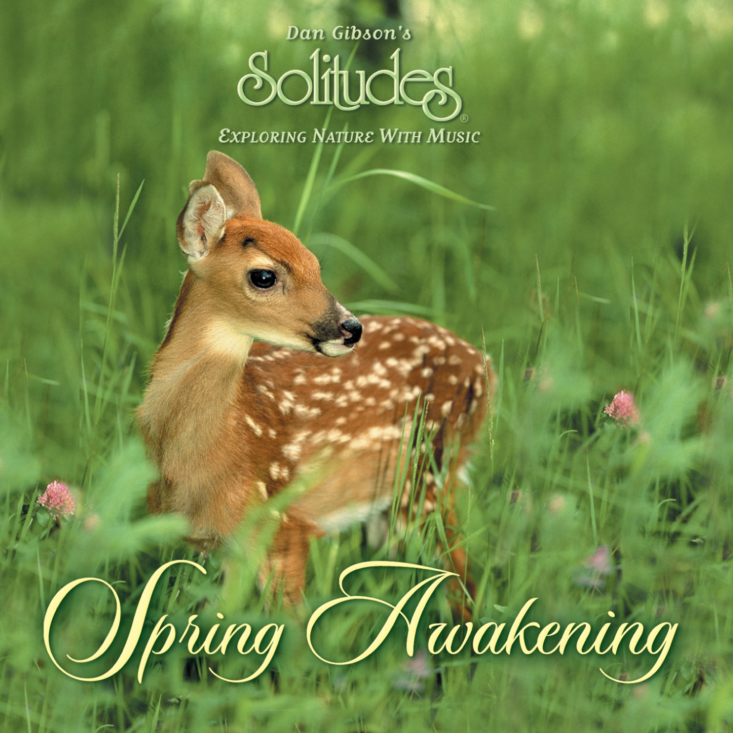 Spring Awakening album cover