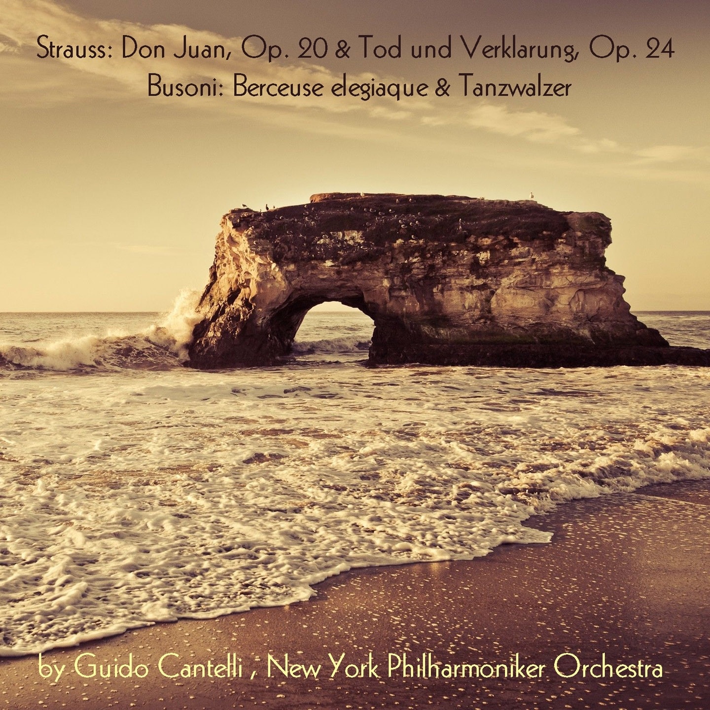 Strauss: Don Juan, Op. 20, Tod und Verklarung, Op. 24 - Busoni: Berceuse élegiaque & Tanzwalzer album cover