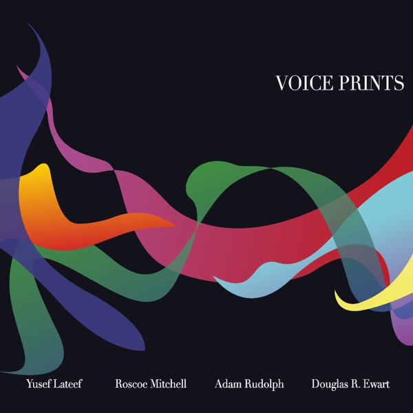 Voice Prints (feat. Douglas Ewart) album cover