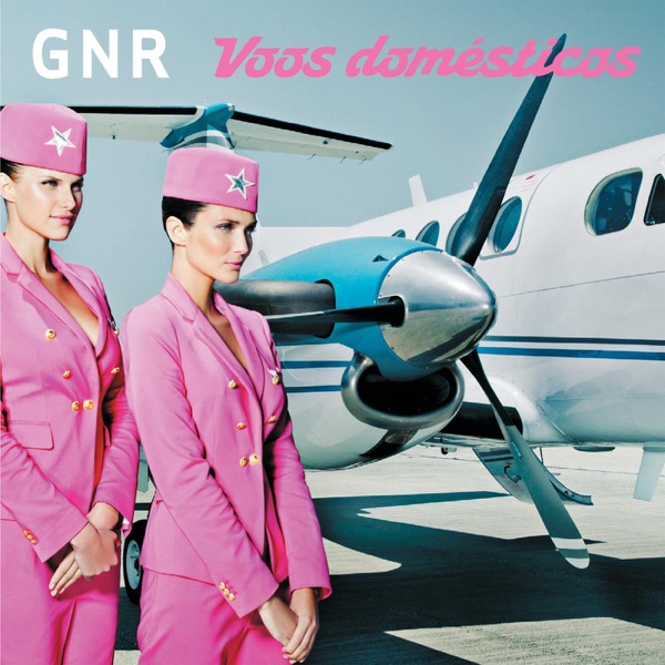 Voos Domésticos album cover